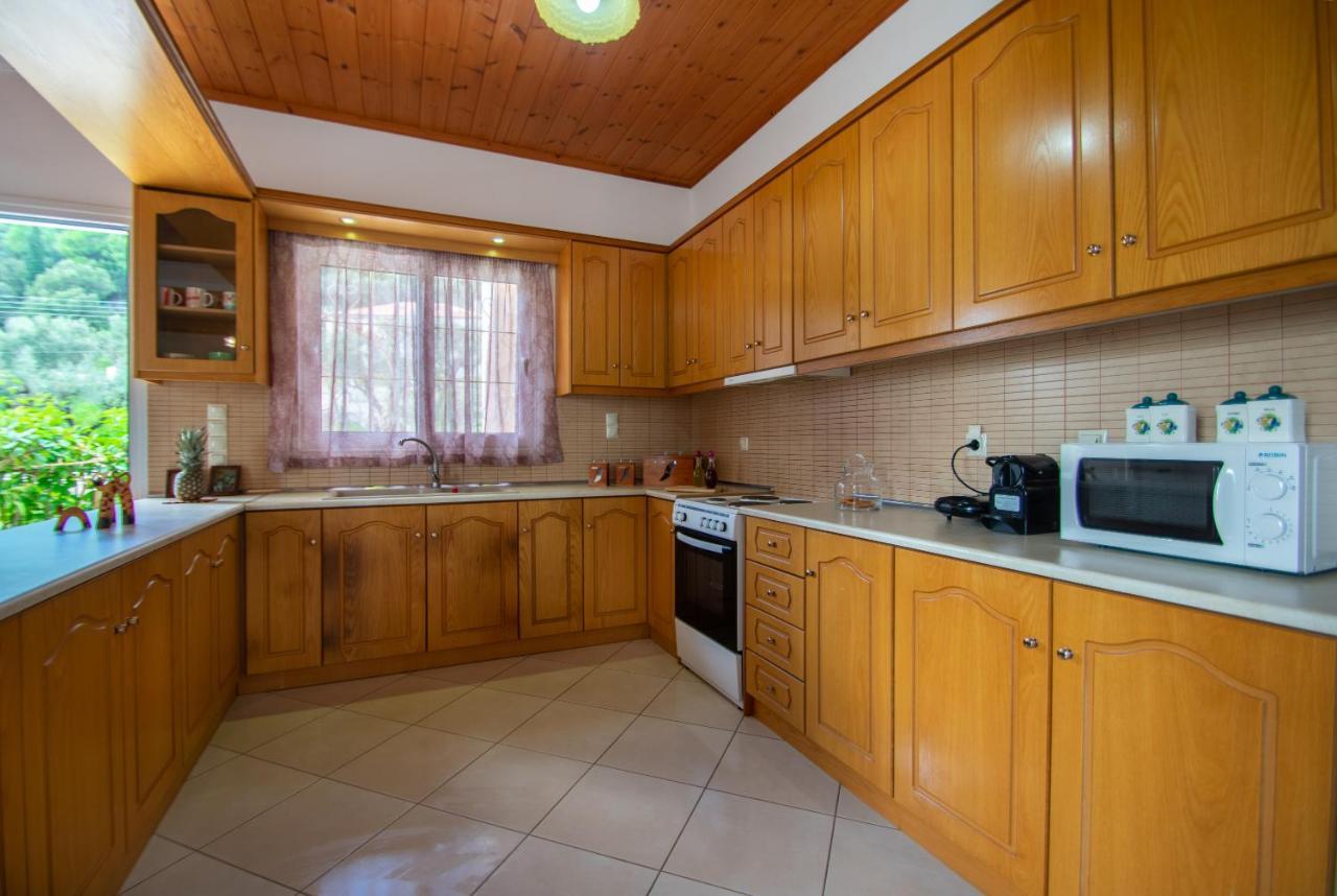 Family Private Homes & Sea View Lithakia  Exterior photo
