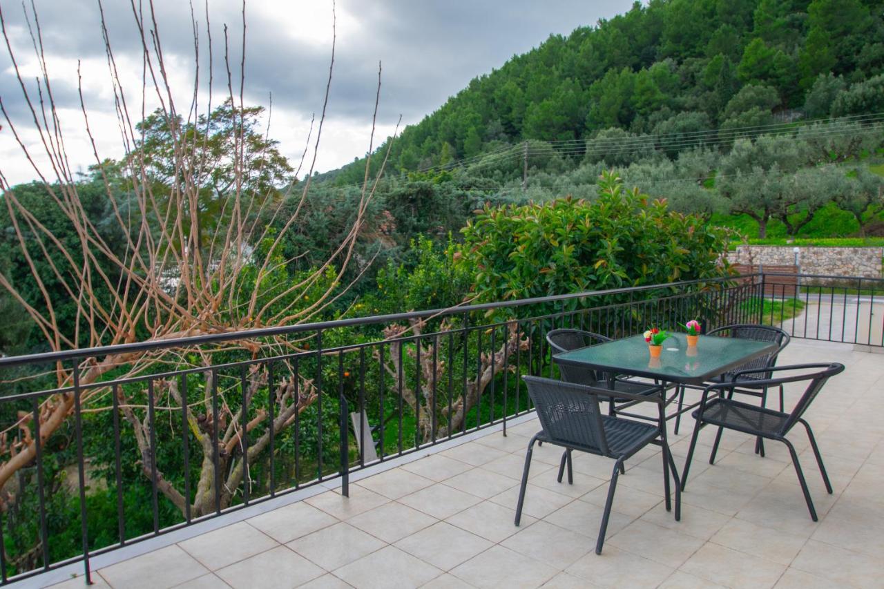 Family Private Homes & Sea View Lithakia  Exterior photo