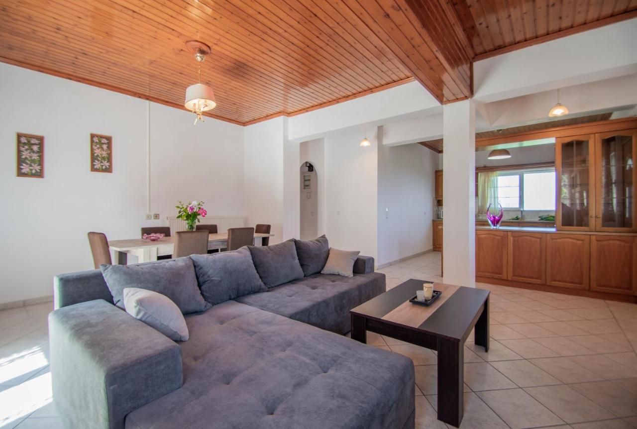 Family Private Homes & Sea View Lithakia  Exterior photo